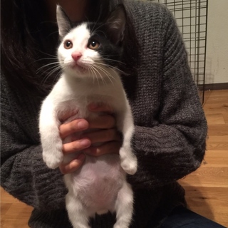 抱っこ好き「むちゃ太郎」♡