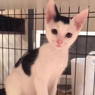 素敵なヘアースタイル「のり香ちゃん」♡