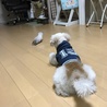 恐る恐るながらも優しくわらびを見守ってくれてたね。
