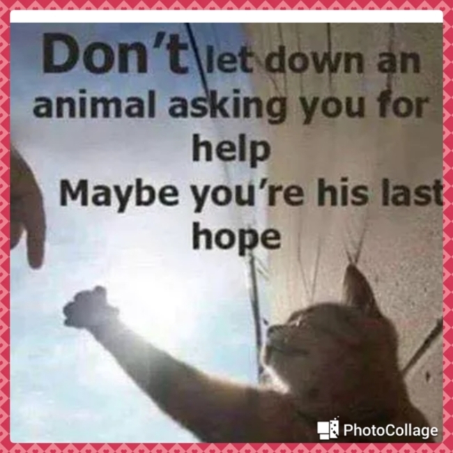 花日和のカバー写真