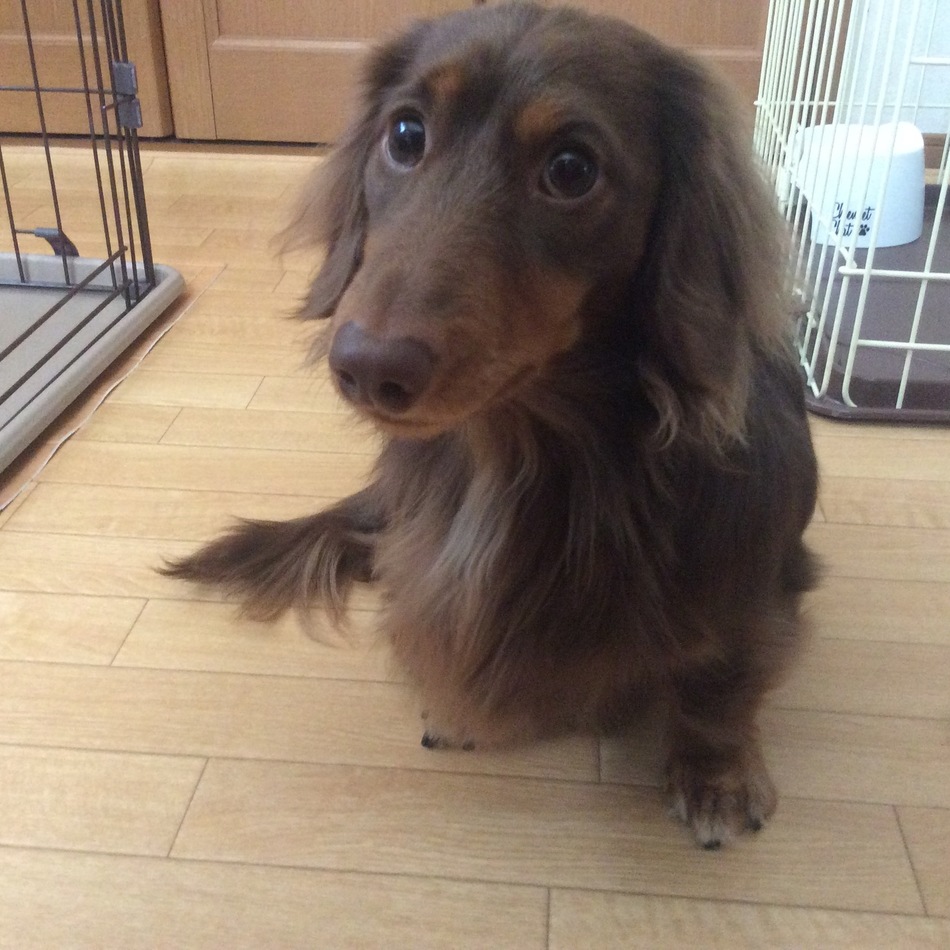 バズのカバー写真