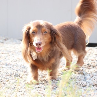 人が大好き　明るいいつきちゃん