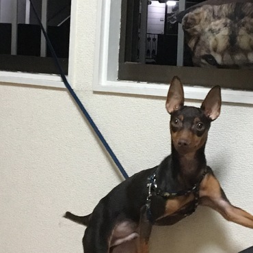 わからない顔
