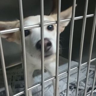 応募者多数に付き、一度締め切ります