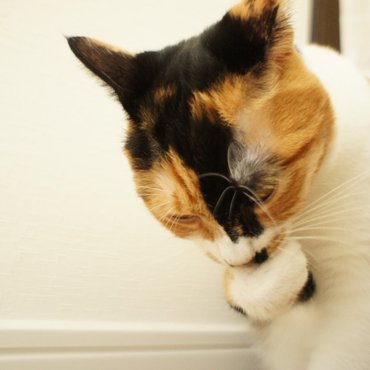 考え事？それとも悪だくみ？？