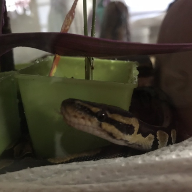 ちあきときのカバー写真