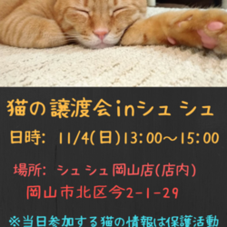 猫さんの譲渡会 in シュシュ岡山店 サムネイル1