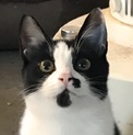 おっとりかわいい子です