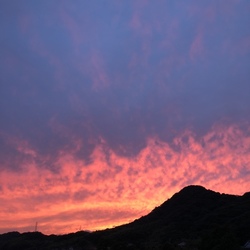 元気です٩( ᐛ )و