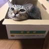み －
