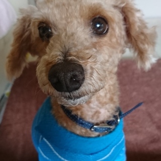 僕に優しい家族ができました～❗