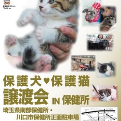 川口市保健所犬猫譲渡会