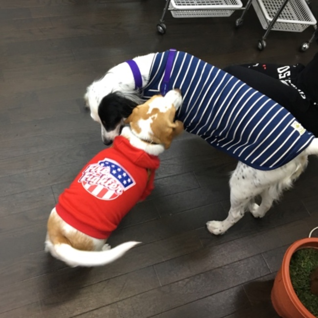 リン、リクのカバー写真