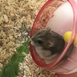 わたし的に美人さん