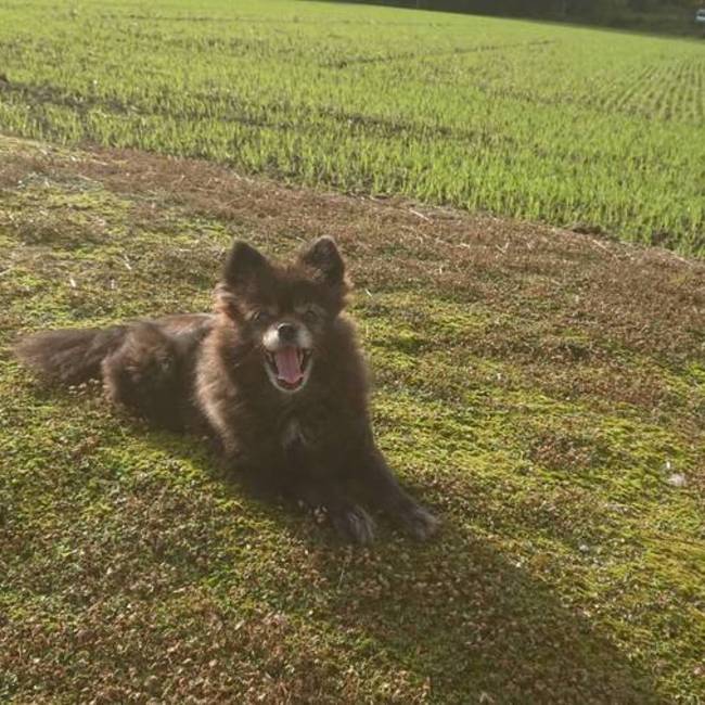 Ayumi.yのカバー写真