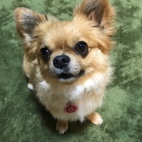 東 くり