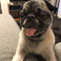toto