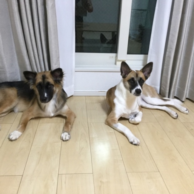 sasaxxx0320のカバー写真