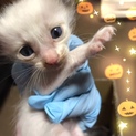 問い合わせあり一旦ストップします