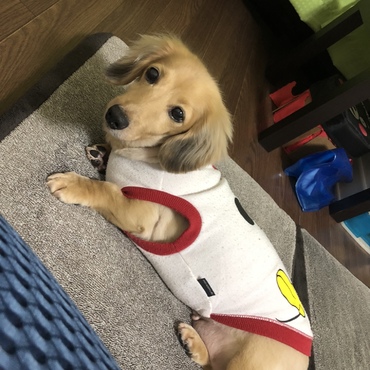 のんびり(๑•̀ㅂ•́)و✧