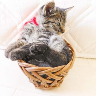 素晴らしいご縁になりました❣️感謝❣️