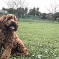 フィリップ