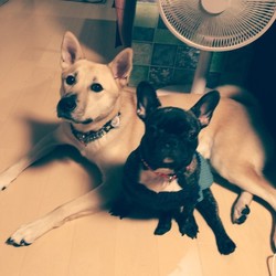 ほんとに久しぶりです。