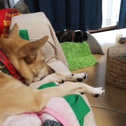 「ほんとに久しぶりです。」サムネイル2