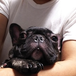 「ほんとに久しぶりです。」サムネイル3