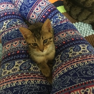 ありがとうございました