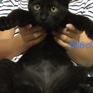 管理番号：OS−666