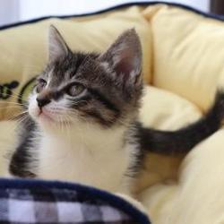 育て始めて1か月