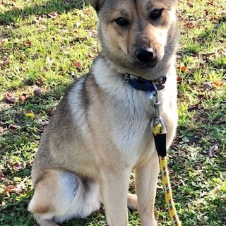 カッコいいって僕のこと★タク君