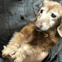 くう