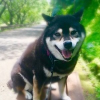 もも