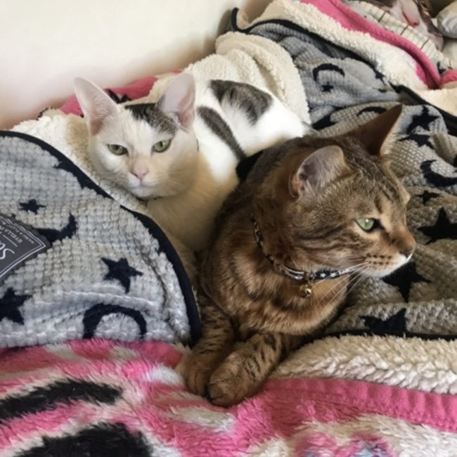 由起さまのカバー写真