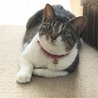 Leeちゃん