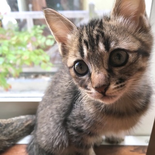 センターより引き出した母と子