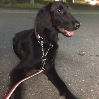 いったん締め切ります