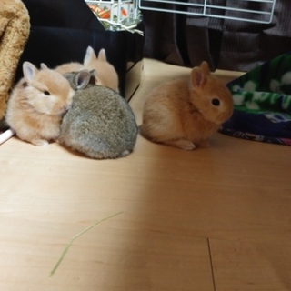 ありがとうございました(*ˊᗜˋ*)⋆*