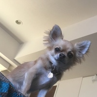 小太郎