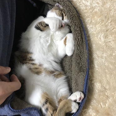の写真