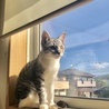 の写真