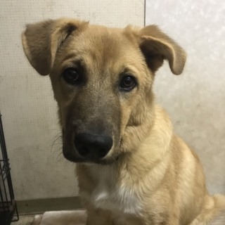 交渉中