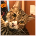 白ｿｯｸｽたび君7ヶ月大きめ