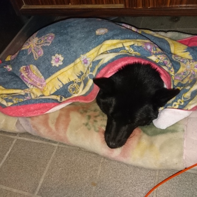 hkai1966のカバー写真