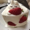 じゃこ猫