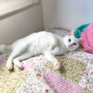 おっとり男子「あて」くん