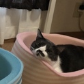 優しい男の子