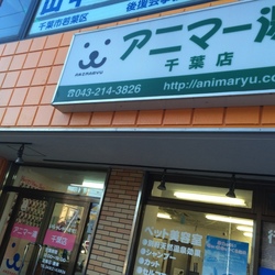 アニマー湯千葉店譲渡会 サムネイル2